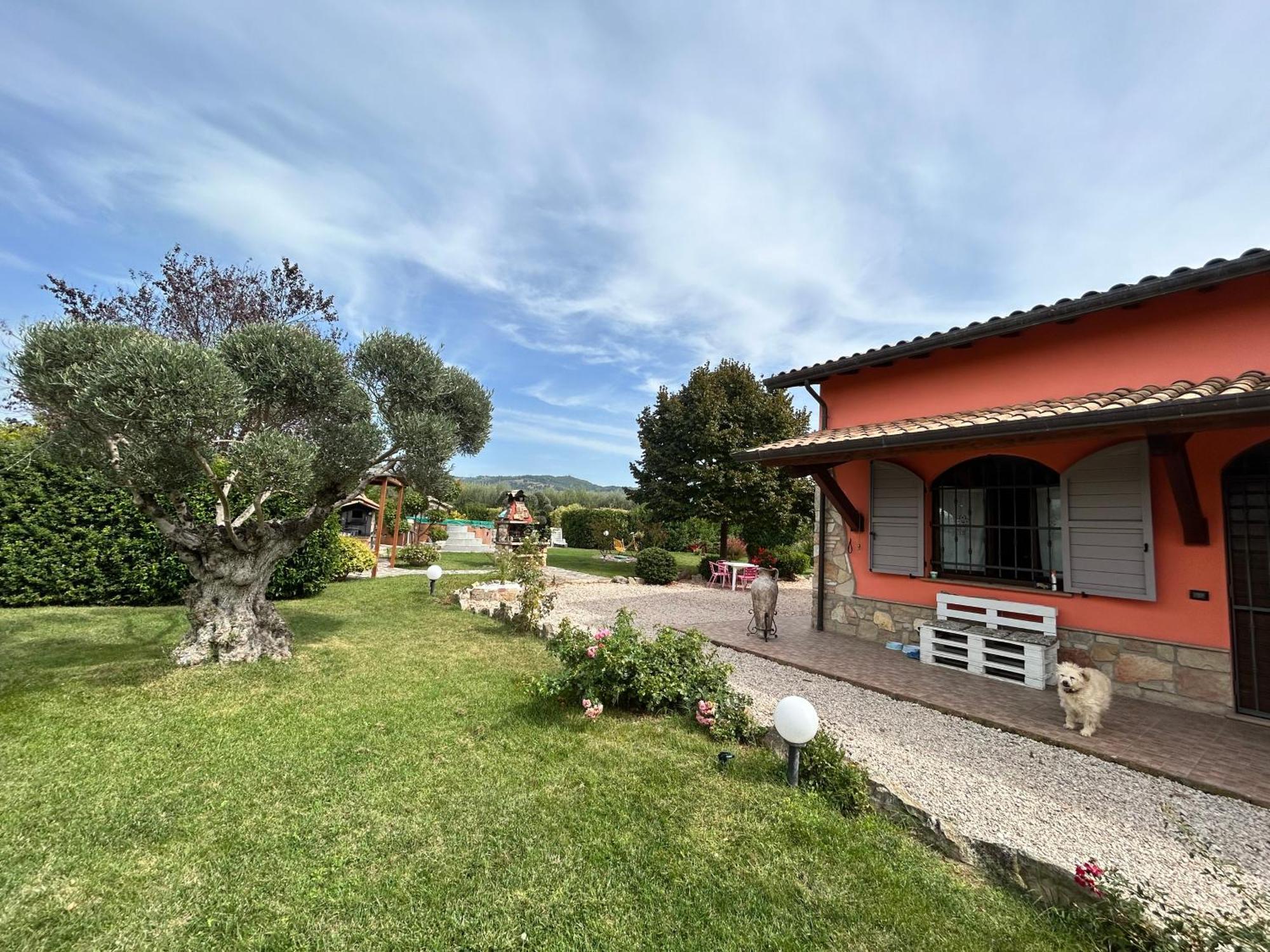 Hotel La Perla Di Asís Exterior foto